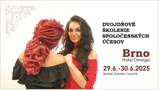 DVOJDŇOVÉ ŠKOLENIE SPOLOČENSKÝCH ÚČESOV - 29. - 30. JÚN - BRNO - CENA 180€